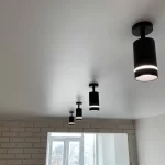 однотонний звичайний